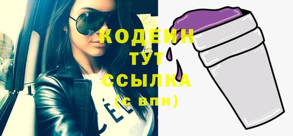 шишки Верхний Тагил
