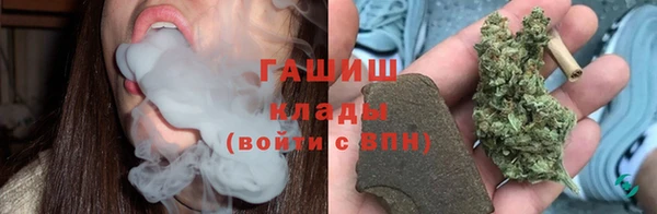 шишки Верхний Тагил