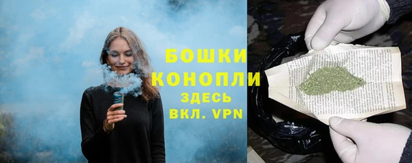 шишки Верхний Тагил