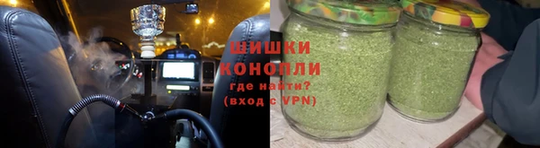 индика Заволжье