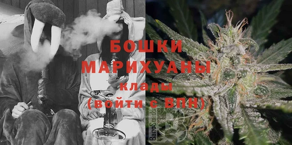 шишки Верхний Тагил
