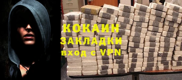 шишки Верхний Тагил