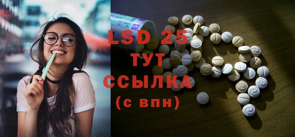шишки Верхний Тагил