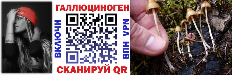 Псилоцибиновые грибы Psilocybe  Рузаевка 
